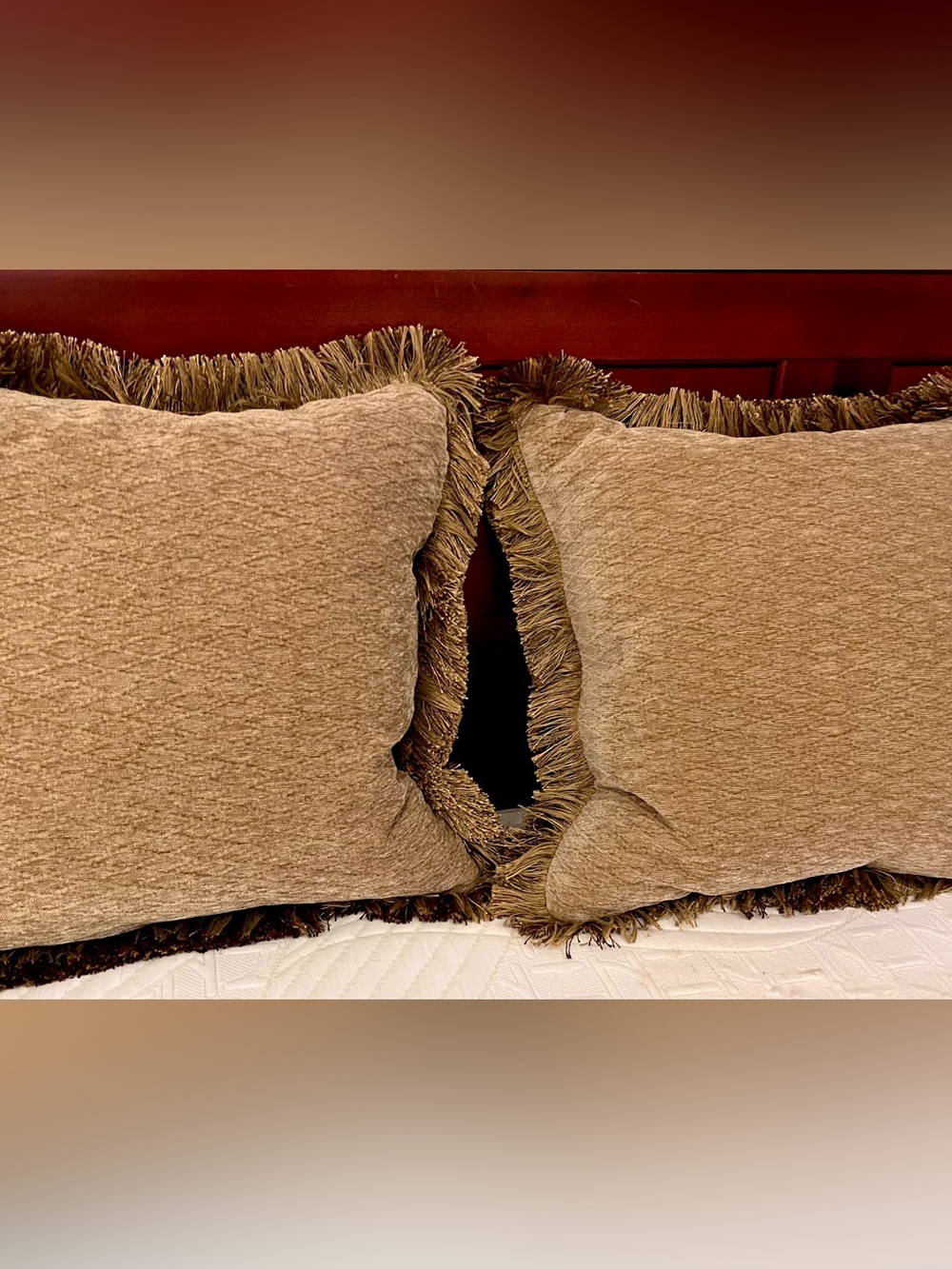 Arhaus Reversible Tapestry & Chenille Fringe Throw Pillows w/ Down Inserts - Set - Picture 3 of 16
